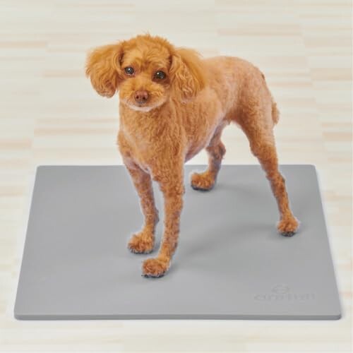 アニフル (anifull) ズレ防止ペットシーツマット グレー 犬 Mサイズ