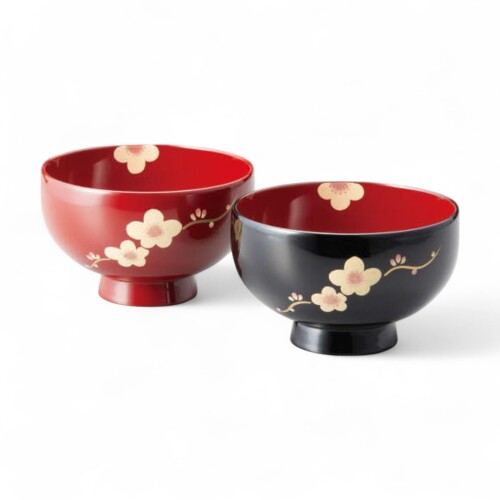 J-kitchens 身寄り 2客仕掛ける 塗師細工 椀 手ペンキ塗り うるし 食洗機相応う PID-636741 日本製