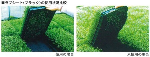 ユニチカ 農学用不織布 ラブシートブラック 水稲育苗用 0.13mm×105cm×50m 20307BKD