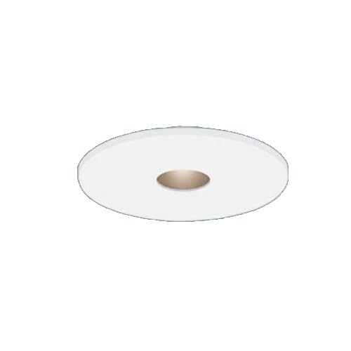 パナソニック(Panasonic) 上昇限度埋込型 LED(白熱電球色) ピンホールダウンライト 美ルック・浅型10H・高気密SB形・光線角34度・集光印字機 調光印字機(ライコン別売)/埋込穴[ファイ]65 HomeArchi(ホームアー
