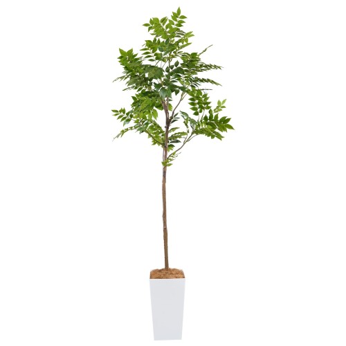 Botanical life+ フェイクグリーン 観葉草木 光触媒 大型 消臭 抗菌 シマ秦皮 200糎 Kつづき物