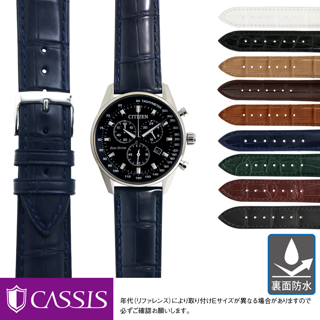 CITIZENシチズン　プロマスター　ダイバーズウォッチ替えベルトあり CITIZEN シチズン プロマスター ダイバーズウォッチ用 純正