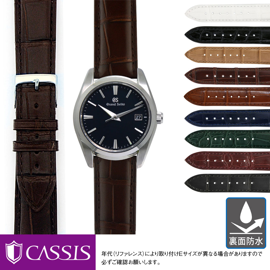 楽天市場】時計ベルト 時計 ベルト 裏面防水 テジュ リザード(テジュトカゲ) CASSIS カシス HAVRE アーヴル U1089041 8mm  9mm 10mm 11mm 12mm 13mm 14mm 15mm 16mm 17mm 18mm 19mm 20mm バンド 時計バンド 替えベルト  簡単ベルト交換用工具付 腕時計ベルト 腕時計バンド ...