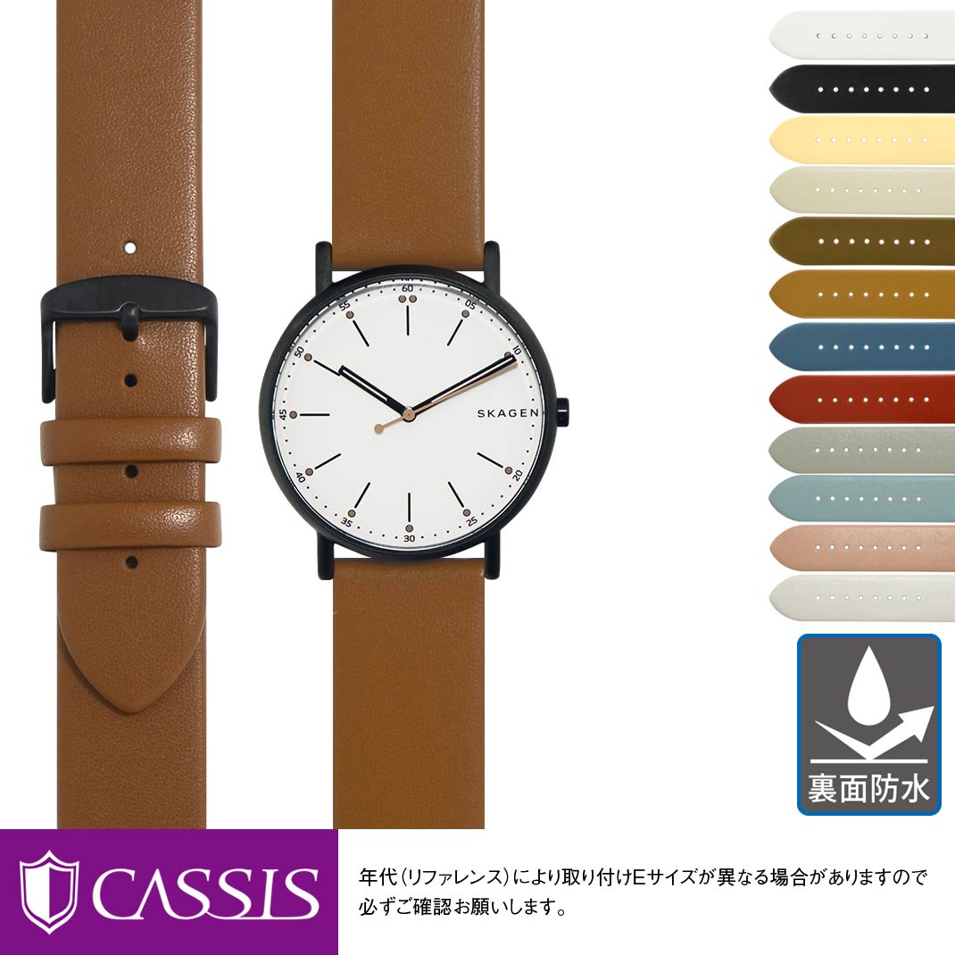 楽天市場】スカーゲン シグネチャー 用 SKAGEN SIGNATUR にぴったりの