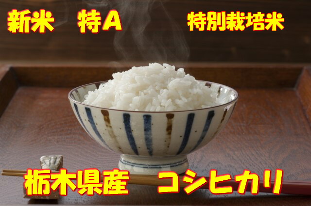 送料無料 令和７年産 連峰の伏流水を使用した栃木県大田原市産コシヒカリ５kg　特A　新米 /白米/玄米 5キロ おこめ コメ (沖縄は別途500円追加)　　御注文後精米 栃木