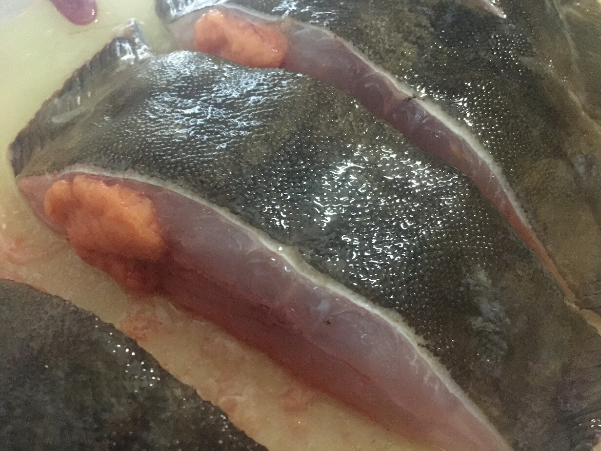 楽天市場 送料無料 北海道産 天然 子持ちナメタガレイ ２尾 １ ２ｋｇ前後 縁起物 カレイ 鰈 冷蔵にて発送 馬目商店 楽天市場店