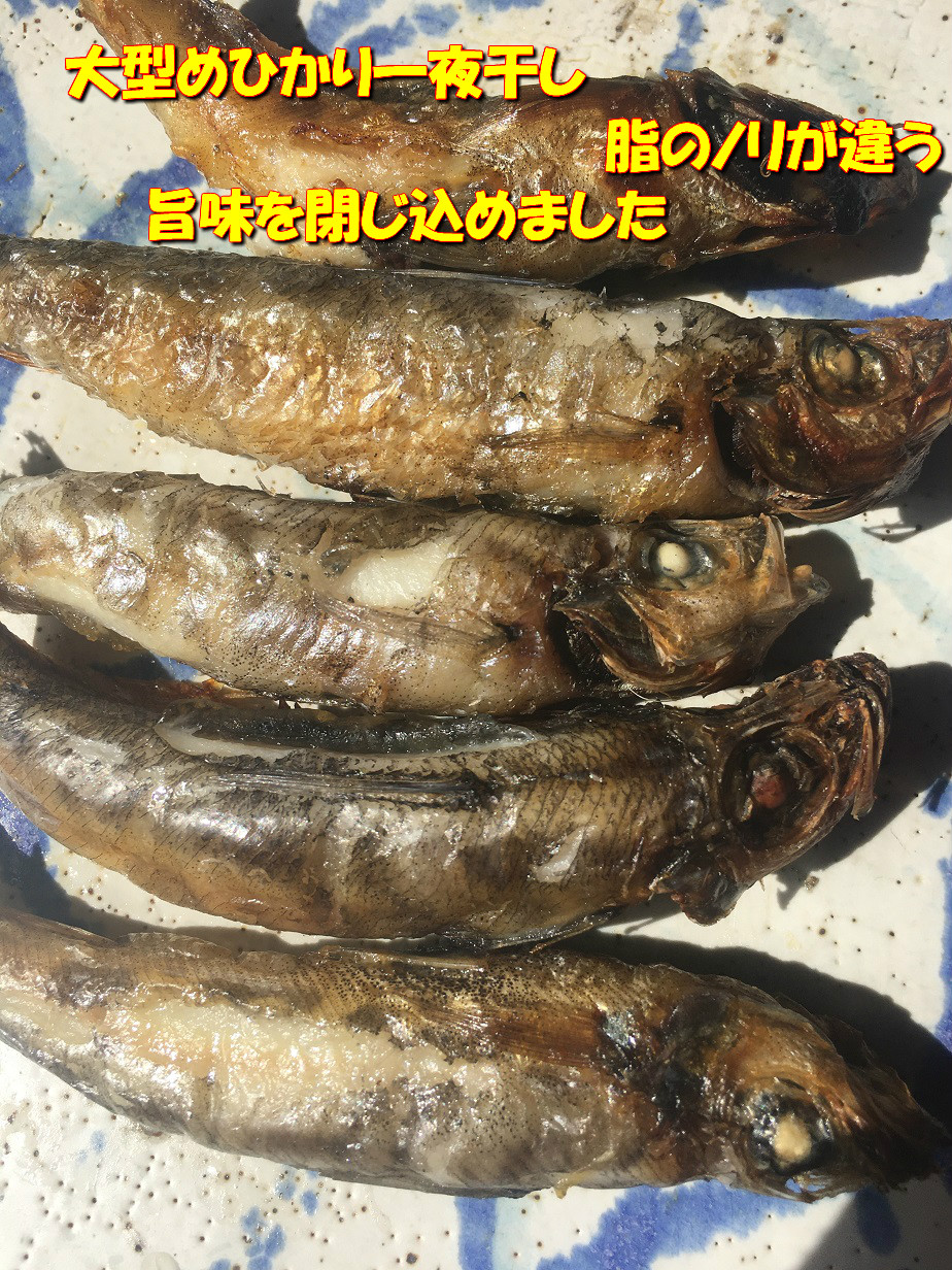 楽天市場 送料無料 大型めひかりの一夜干し 15匹 目光 常磐産 めひかり メヒカリ 干物 常磐もの 常磐モノ 常磐物 ギフト 父の日 母の日 焼くだけ いわき 馬目商店 楽天市場店