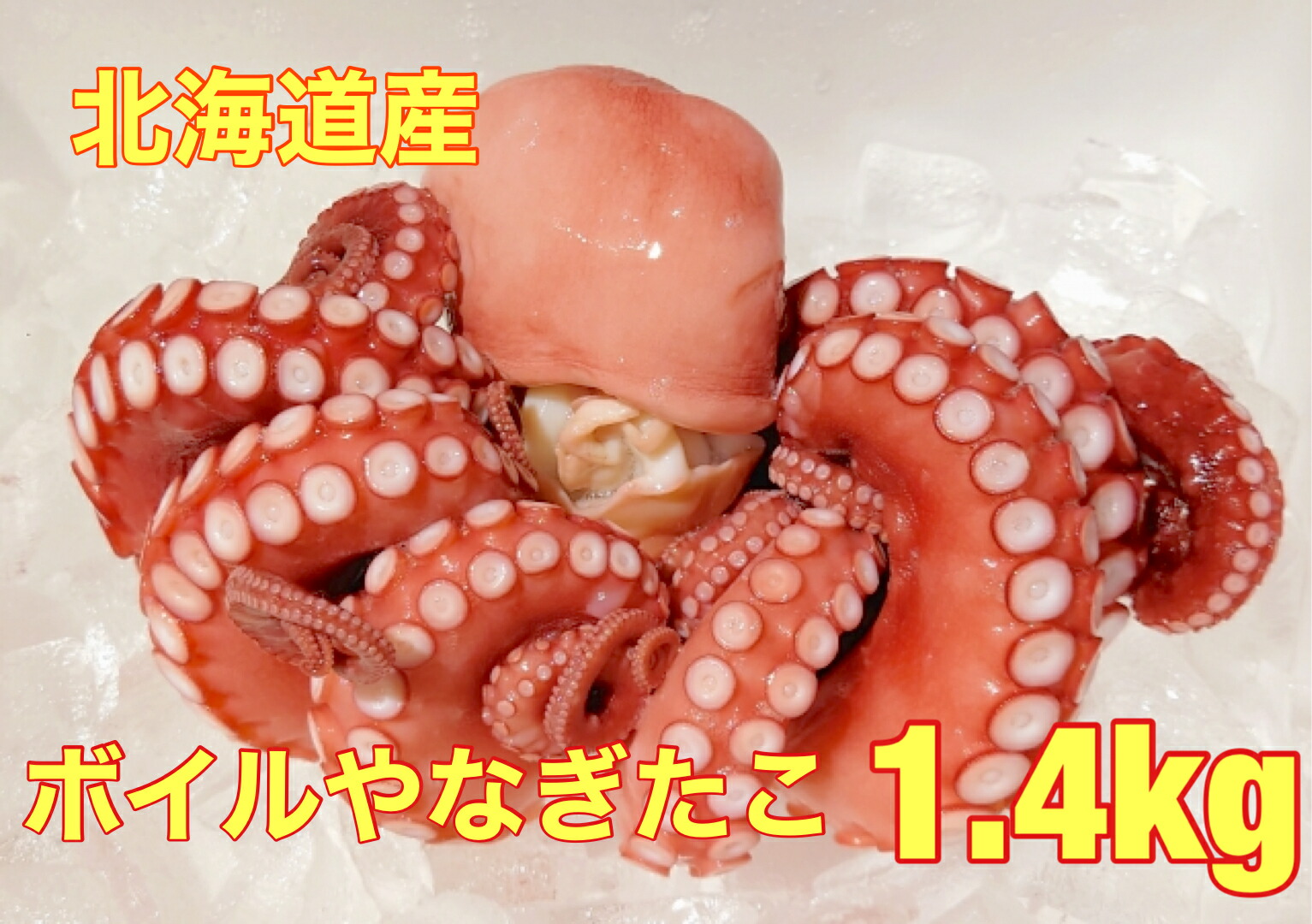 送料無料  北海道産 釜茹で ヤナギタコ１匹 1.5kｇ前後　プリプリ感が自慢です！タコ 蛸 たこ   お歳暮　１尾