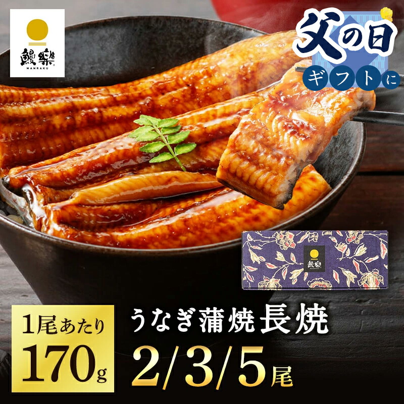 ★父の日★ 鰻楽 国産 うなぎ蒲焼 長焼 170g 選べる 2尾 3尾 5尾 ギフト ウナギ 冷凍 鰻 うなぎ蒲焼 贈答用 内祝い 出産祝い 誕生日祝い お礼 肉厚 プレゼント グルメ お取り寄せグルメ