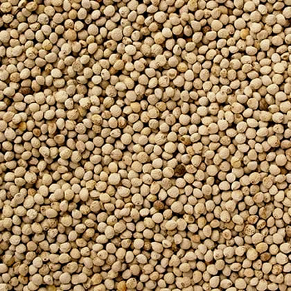 えごま実 中国産 業務用 10kg (5kgx2)｜万糧米穀