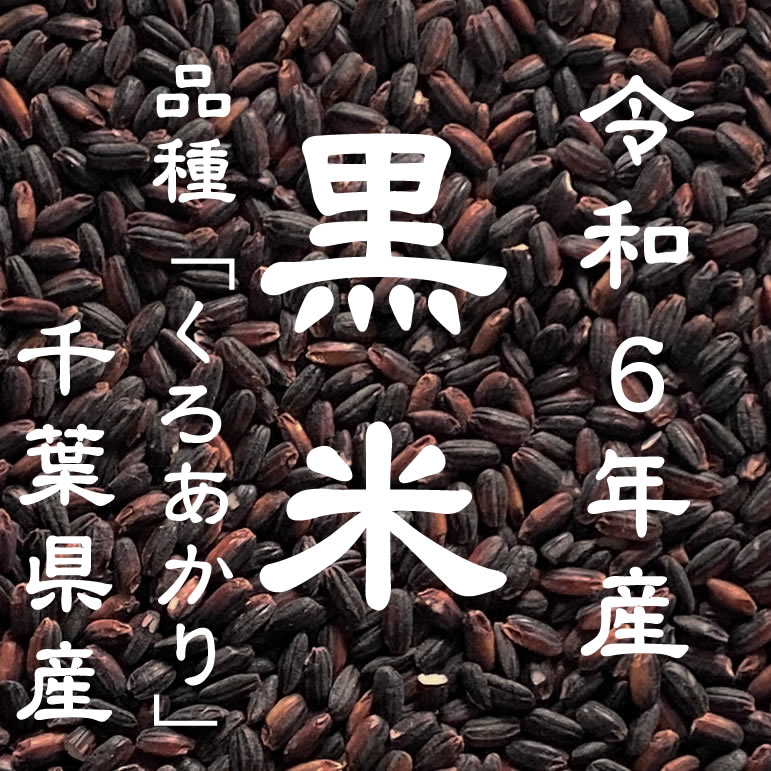 令和6年産 黒米 千葉県産 10kg 品種：くろあかり ※若干高温障害がございますが、普通に色付きます