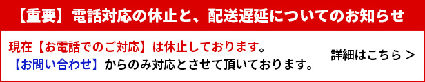 楽天市場】乗用玩具 足けり クーペ 車 バス 型 ルーフカー 乗り物 のりもの 室内 子供 1歳 2歳 3歳 4歳 5歳 足けり 足置き ステップ  安全 外遊び 足こぎ 背もたれ 屋外 外遊び 背もたれ 子ども キッズ ハンドル 音 メロディー 誕生日