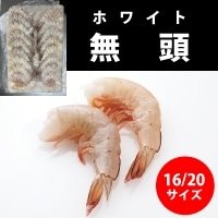 【冷凍】無頭エビ ホワイト 16/20 1.8KG (/えび) 業務用