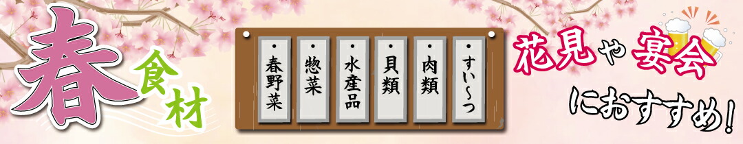 楽天市場】【常温】特級厨師 味力万能塩だれ 1Ｌ (丸善食品工業/調味料