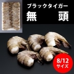 【冷凍】無頭ブラックタイガー 8/12　1.8KG (/えび) 業務用