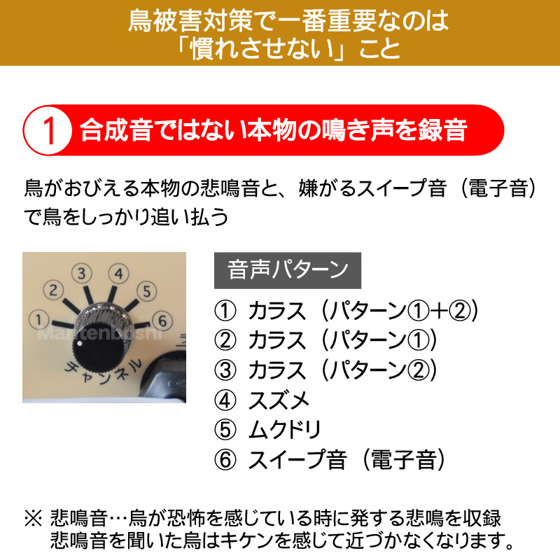 送料無料 天敵ニラミ トリサッタ Ttn T4 タイガー 鳥追い 鳥よけ 被害 カラス 撃退 グッズ 音 声 鳥害 対策 防鳥 被害 スズメ 鷹 タカ 猛禽類 ふくろう 鳴き声 威嚇 農業 防鳥用品 Clinicalaspalmeras Com