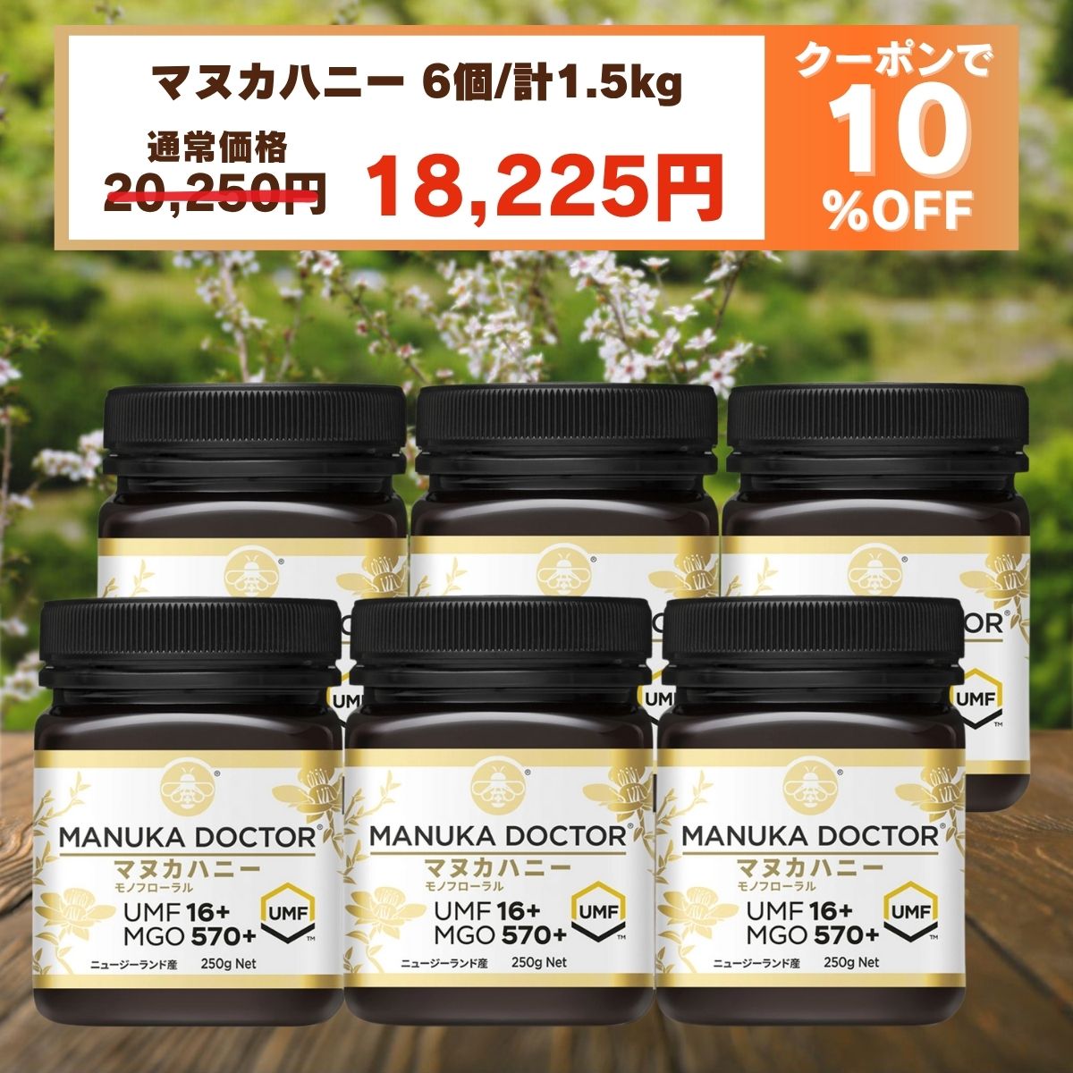 楽天市場】1個あたり(250g) 1,701円 送料無料 【10%OFF 6月19日