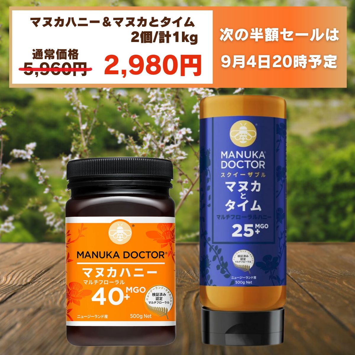 楽天市場】ギフト・お試しに最適 送料無料 【半額 7月29日20:00