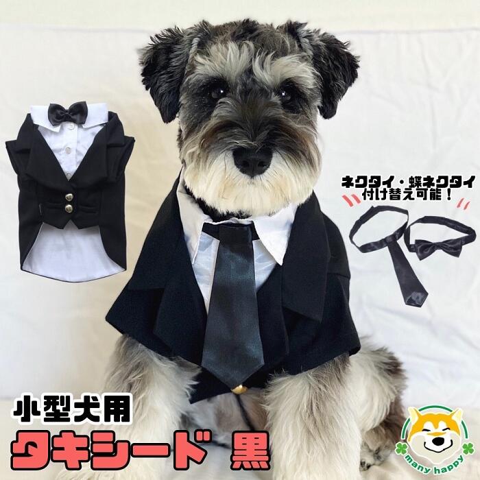 楽天市場】【 小型犬用 】犬 服 フォーマル スーツ タキシード 結婚式 ウエディング 蝶ネクタイ 服 ジャケット ペット服 前撮り リングドッグ プレゼント 金 洋装 お祝い お誕生日 記念日 記念写真 ゴールド 高級感 マジックテープ留め Dolly DST001 犬服 : 柴犬コウタの ... 楽天市場】【 小型犬用 】犬 服 フォーマル スーツ タキシード 結婚式 ウエディング 蝶ネクタイ 服 ジャケット ペット服 前撮り リングドッグ プレゼント 金 洋装 お祝い お誕生日 記念日 記念写真 ゴールド 高級感 マジックテープ留め Dolly DST001 犬服 : 柴犬コウタの ...