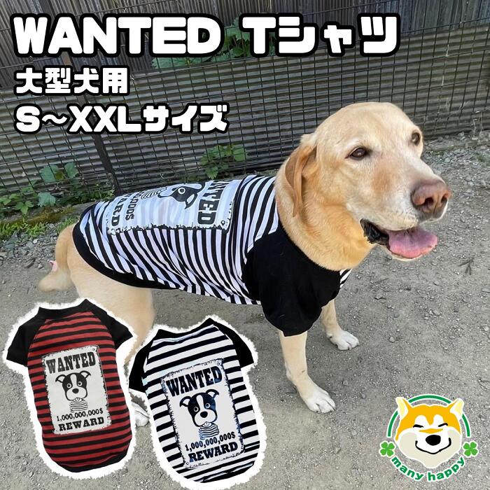 楽天市場】GW中 20%OFF 【 大型犬用 】 犬 服 Tシャツ 大型 可愛い