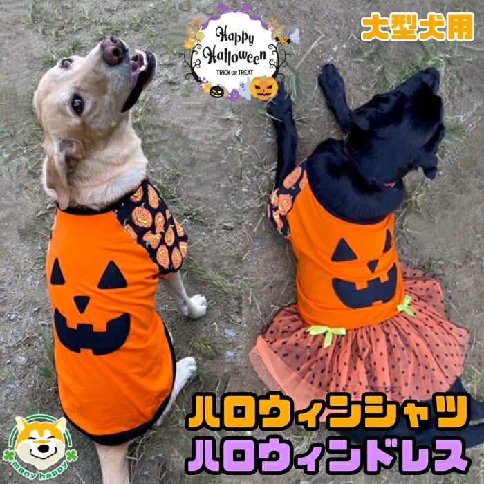 1284円 最大52 Offクーポン 犬 服 秋 ハロウィン Tシャツ ドレス コスチューム 男の子 女の子 おもしろ かぼちゃ オリジナル パンプキン ビッグ 大型 イベント インスタ パーティ プレゼント 伸縮性あり 7号 レトリバー ラブラドール ダルメシアン 犬服