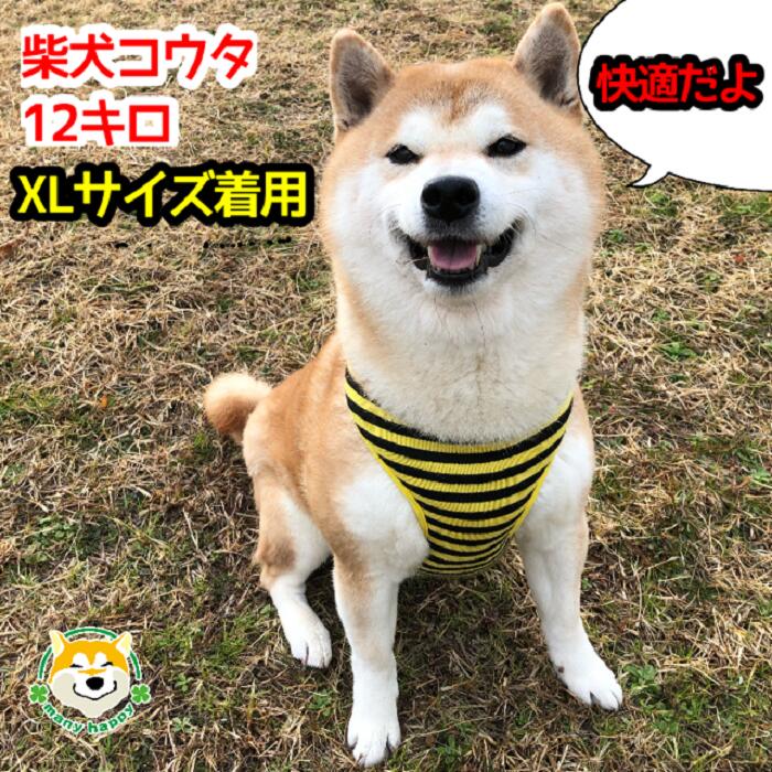 楽天市場 ハーネス 犬 服 中型犬 秋 おしゃれ 胴輪 簡単装着 可愛い おしゃれ 首を通してカチッと留めるだけ L Xlサイズ 赤 黄 バックル かぶせる チュール 柔らかい テントウムシ ハチ 柴犬 パグ フレンチブルドッグ コーギー ビーグル 犬服 柴犬コウタの