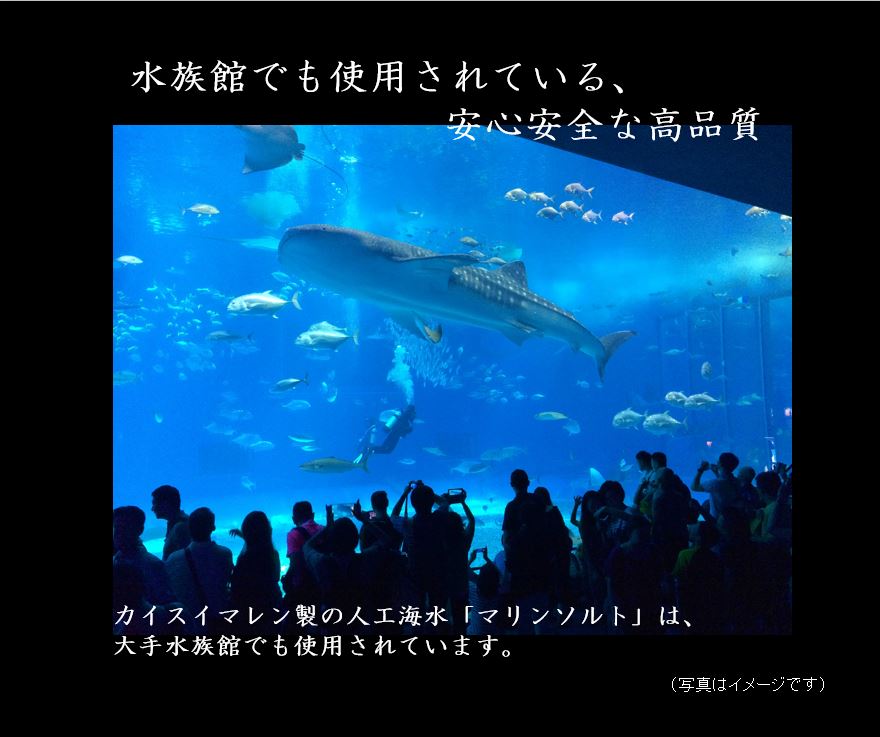 大特価放出！ 北海道 沖縄離島は除く 人工海水 マリンソルト 200L用 人工海水の素 qdtek.vn