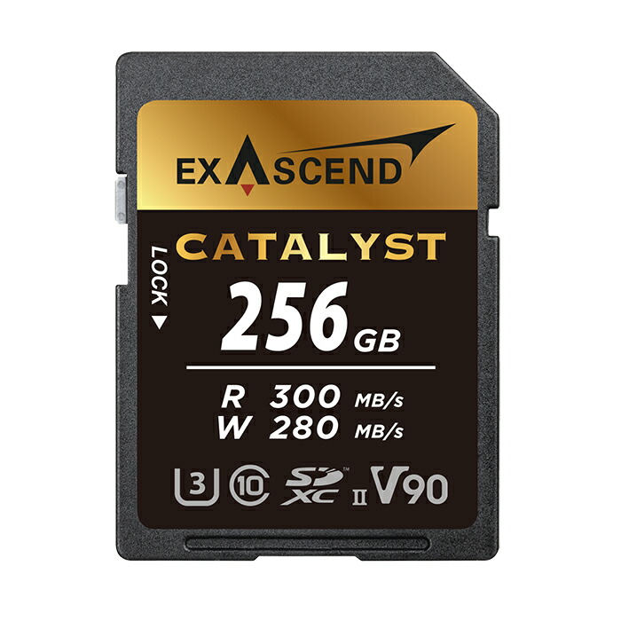 《新品付属品》 EXASCEND (エグザセンド) Catalyst SDXC歌留多 256GB UHS-II V90 EX256GSDU2【店卸し資産極限点】【KK9N0D18P】