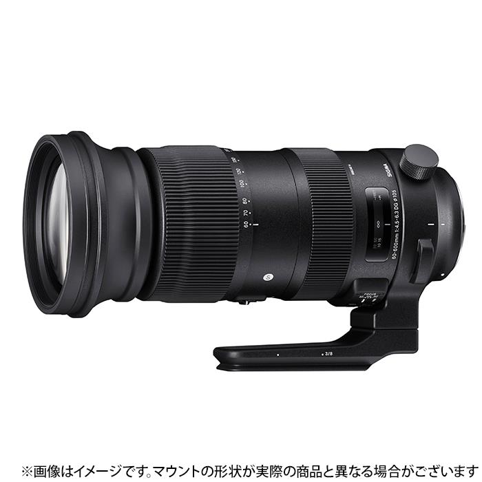 人気の定番 《新品アクセサリー》 SIGMA シグマ USB DOCK ニコンF用