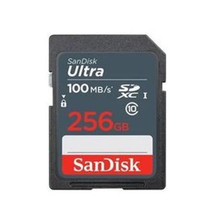 《新品佩び物》 SanDisk (サンディスク) Ultra SDXC歌留多 UHS-I 256GB SDSDUNR-256G-GN3IN【店卸し資産区分け】【KK9N0D18P】