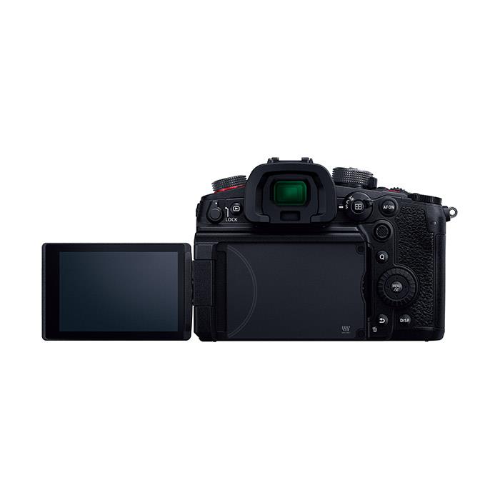 国内では販売 ほぼ新品　Panasonic パナソニック　大容量バッテリー付き GH5s フィルムカメラ