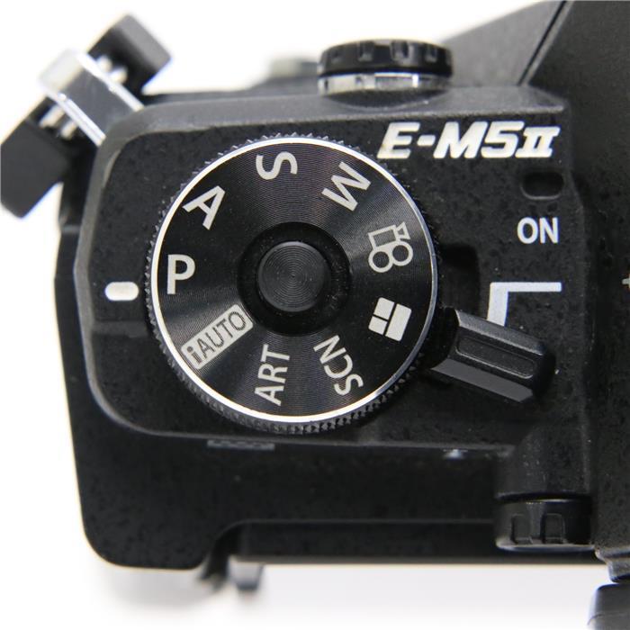 あした平易 中古 並々沽券 Olympus Om D E M5 Mark Ii 御身 墨ぞめ デジタル写真機 Ritzattorneys Com