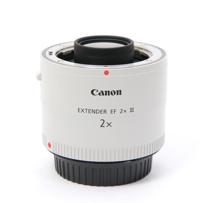 定番の冬ギフト サンフラワーCanon エクステンダー EF2X III