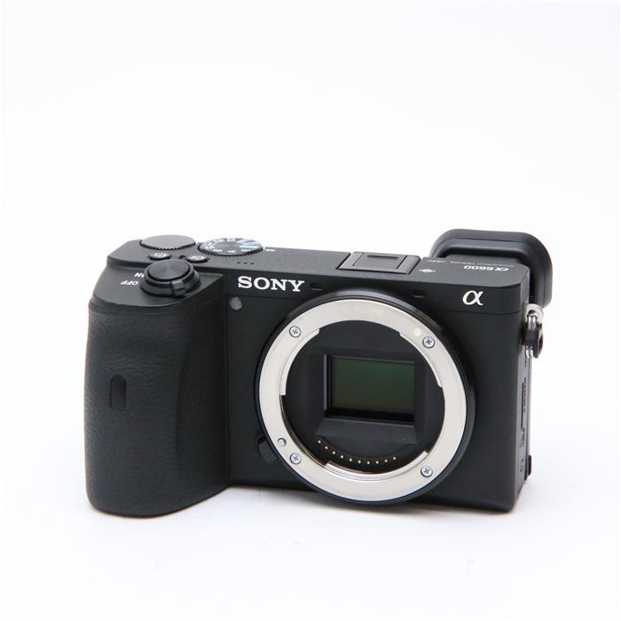 とっておきし福袋 《美品》 SONY α6600 ボディ ILCE-6600 デジタル