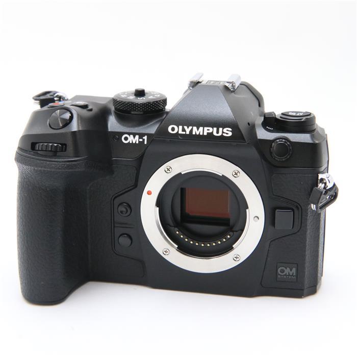 豪華 OLYMPUS ツインフラッシュ OM System フィルムカメラ | www.mkc.mk