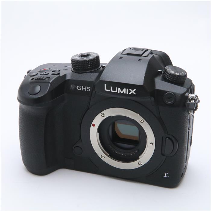 人気の雑貨がズラリ！ 《良品》 Panasonic LUMIX DC-GH5 ボディ