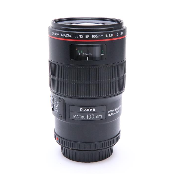 フラワープリント キヤノン 《良品》Canon EF100mm F2.8 マクロ USM