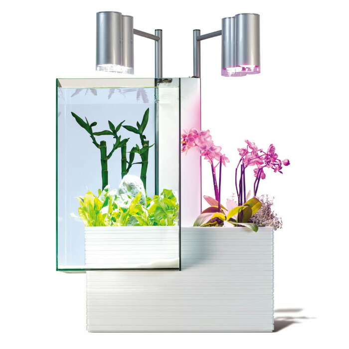 限定製作 楽天市場 ブリオ Brio 水槽 フルセット ホワイト 西日本60hz 家庭用 アクアポニックス Brio35 植物 魚 マペット 売り切れ必至 Lexusoman Com