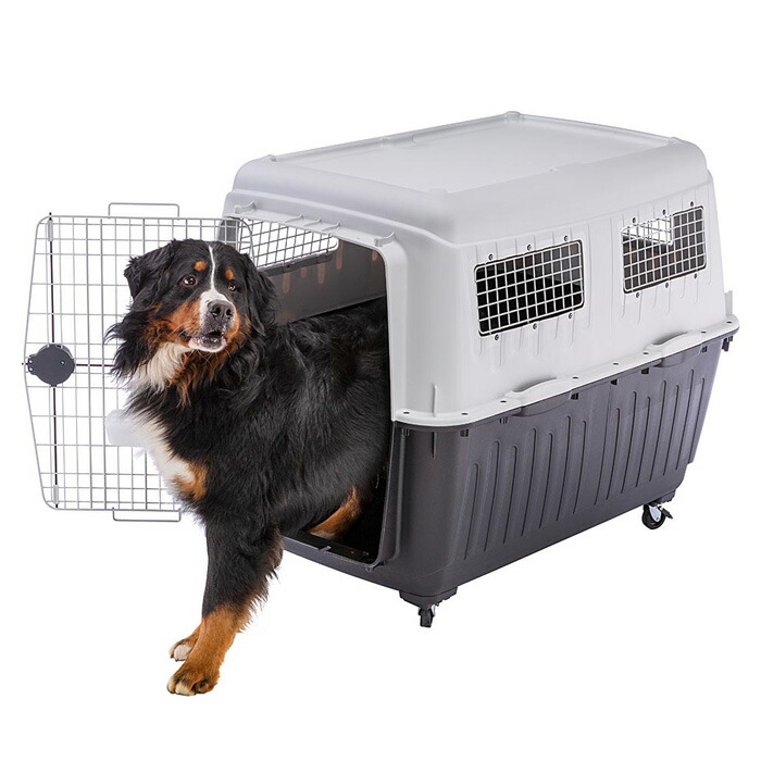 在庫あり 即納 イタリアferplast社製 アトラス 80 Atlas 80 キャリー ペットキャリー 犬 ゲージ 飛行機iata航空輸送基準をクリア マペット 楽天ランキング1位 Vancouverfamilymagazine Com