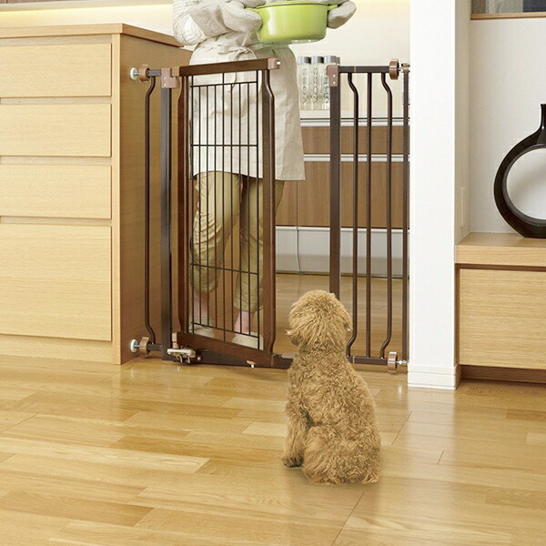 楽観論なにより安値に挑む リッチェル コルネット所用木製ハンズフリースターティングゲート Acilemat Com