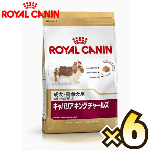 海外輸入 楽天市場 お得なケース売り ロイヤルカナン Royal Canin キャバリア キング チャールズ ブリード ヘルス ニュートリション 成犬から高齢犬用 生後10ヶ月齢以上 1ケース 1 5kg 6個 マペット 独創的 Lexusoman Com