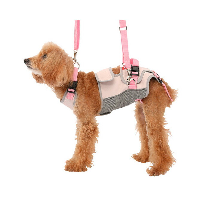 人気が高い 楽天市場 歩行補助ハーネスlalawalk 小型犬 ダックス用 スイートグレンチェック S マペット 保存版 Lexusoman Com