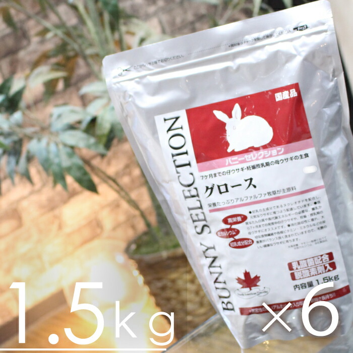 【毎週入荷の目あたらしい店卸し資産】バニーセレクション グロース1.5kgx6個◆（1入れもの）