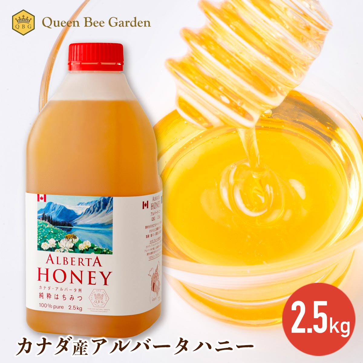 アルマダ　honeyさま専用 リプレースメントステッカー XC PROプロテクター用