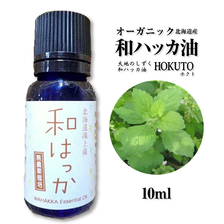 楽天市場 オーガニック 和ハッカ油 10ml 大地のしずく Hokuto ホクト ダイエットのサポートにも ハッカ 薄荷油 アロマ 癒し オイル リラグゼーション リラックス リフレッシュ アロマオイル 健康 アジアン カジュアル マーライ