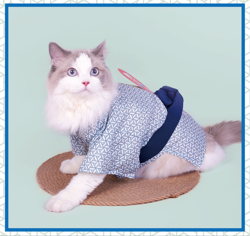 楽天市場 送料無料 ペットの服 浴衣 猫 ネコ 犬 和風 ユカタ コスチューム 猫服 可愛い 通気性 柔らかい コスプレ衣装 面白い 写真 撮影道具 おしゃれ 簡単装着 着せ替え 変身グッズ ペット用品 楽天海外通販 Marbeine