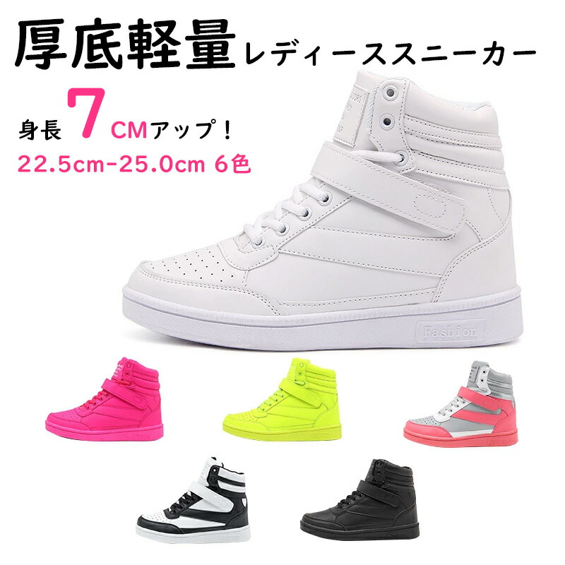 zx-fs0002-01.jpg
