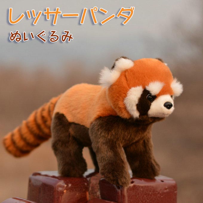 四季オリジナル　リアル　レッサーパンダ　レトロ　ぬいぐるみ 楽天市場】レッサーパンダ 大きくてリアルな動物のぬいぐるみ