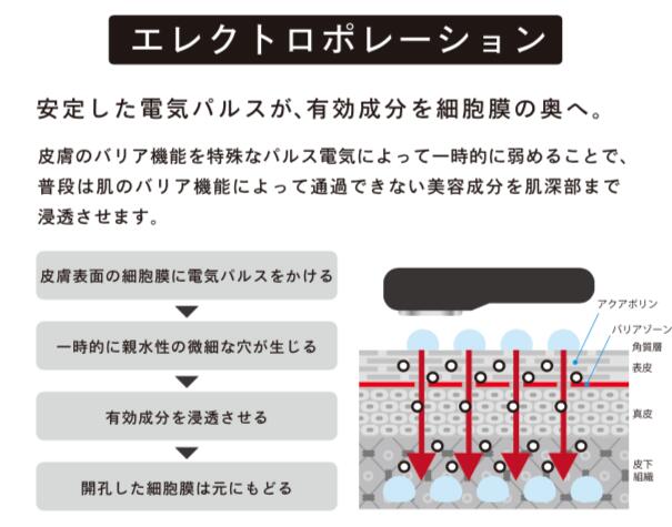 WQC TILLET ティレット 赤色LED 育毛 美顔器 日本製 イオン導入器