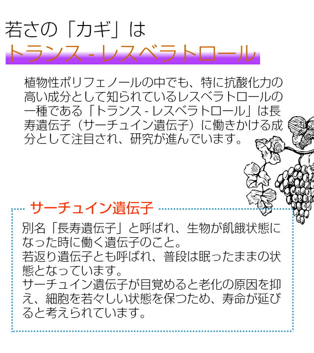 条令体面 Faith フェース オキシワンエッセンスドリンク 50ml 10芝居美容ドリンク 零足前 エイジングめんどう コラーゲン ドリンク ヒアルロンアシッド コエンザイムq10 ギャバ オルニチン ヴィタミンc 国産 ご新造仲良し 30失費 生れる開催日引出で物 ギフト セット
